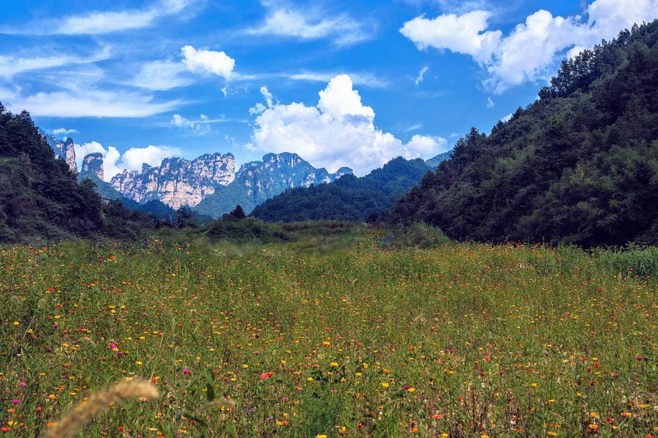 Whispering Mountains Boutique Hotel Жангжиаже Екстериор снимка